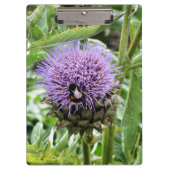 BENEDEN KLEMBORD (Voorkant)