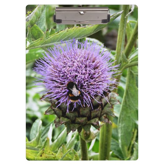 BENEDEN KLEMBORD (Voorkant)