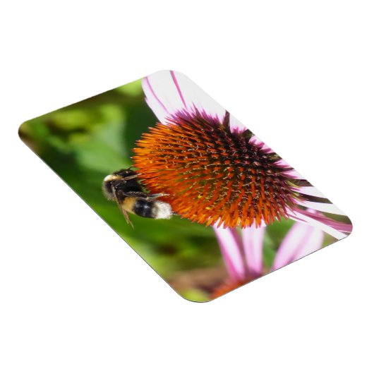 BENEDEN MAGNEET (Rechterzijde)