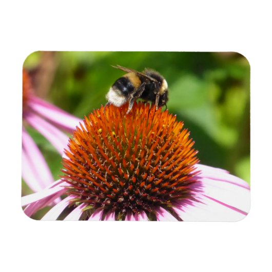 BENEDEN MAGNEET (Horizontaal)