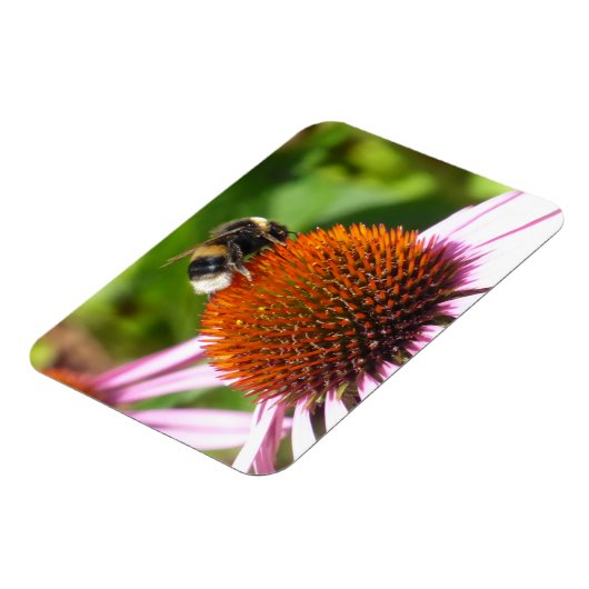 BENEDEN MAGNEET (Linkerzijde)