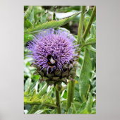 BENEDEN POSTER (Voorkant)