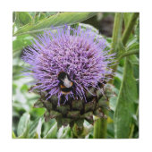 BENEDEN TEGELTJE (Voorkant)