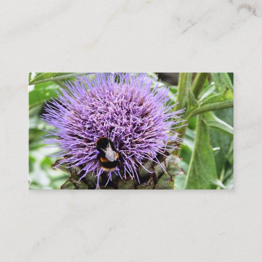 BENEDEN VISITEKAARTJE (Voorkant)