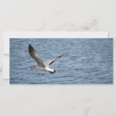 Benediction Prayer Kaart (Achterkant)