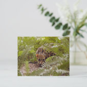 Bengaal Cat 003 Briefkaart (Staand voorkant)