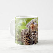 Bengaal Cat 004 Koffiemok (Voorkant links)