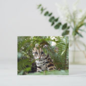 Bengaal Cat 022 Briefkaart (Staand voorkant)