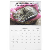 Bengaal Cat Beauty Kalender (Feb 2027)