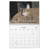 Bengaal Cat Beauty Kalender (Jan 2027)