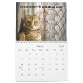 Bengaal Cat Beauty Kalender (Mar 2027)