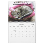 Bengaal Cat Beauty Kalender (Feb 2026)