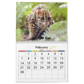 Bengaal kat 022, Beren katten en bengachtige katte Kalender (Feb 2027)