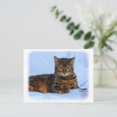 Bengaal kat 9W052D-023 Briefkaart (Staand voorkant)