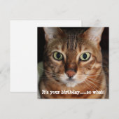 Bengaal Kat Face Foto: "Zijn verjaardag.." Feestdagenkaart (Voorkant / Achterkant)