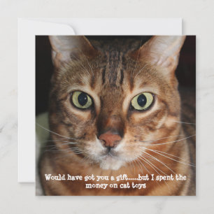Bengaal Kat Gezicht Foto "Zou je een cadeau hebben Feestdagenkaart