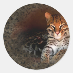 Bengaal kat/Kat-stickers Ronde Sticker