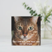 Bengaal Kat Kop Foto "Ja, ik hou van je...." Feestdagenkaart (Staand voorkant)