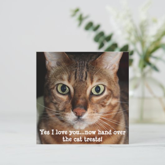 Bengaal Kat Kop Foto "Ja, ik hou van je...." Feestdagenkaart (Staand voorkant)