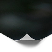 Bengaal kat spioneren poster (Hoek)