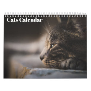Bengaal Katzen 2027 Kalender