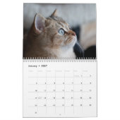 Bengaal Katzen 2027 Kalender (Jan 2027)