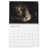 Bengaal Katzen 2027 Kalender (Feb 2027)