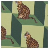 Bengaal op een doos stof (Close Up)