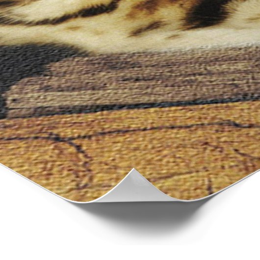 Bengaal Poster (Hoek)