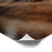 Bengaal Poster met kattenverlies, foto-wandkunst (Hoek)