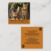  Bengaals Cattery-Visitekaartje Vierkante Visitekaartje (Voorkant / Achterkant)