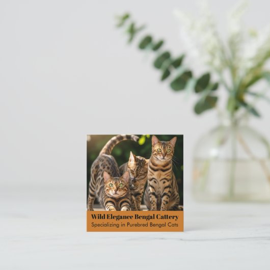  Bengaals Cattery-Visitekaartje Vierkante Visitekaartje (Staand voorkant)
