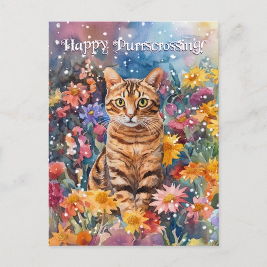 Bengaals Postcrossing - Briefkaart (Voorkant)