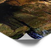 Bengaals tijger in grot poster (Hoek)