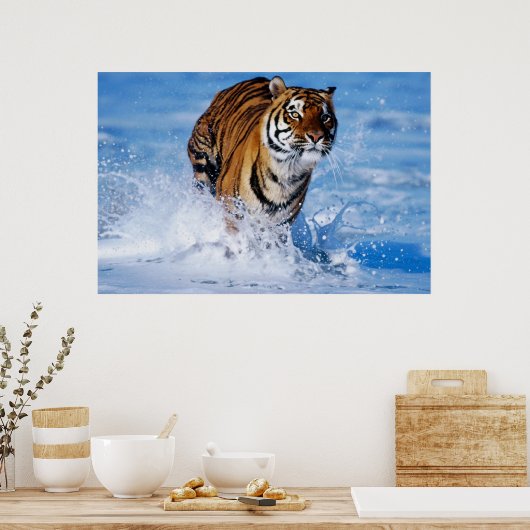 Bengaals tijger in het poster van de oceaan (Keuken)