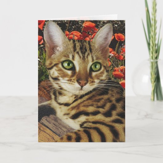 Bengaalse kaarten en stickers (Voorkant)