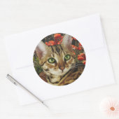 Bengaalse kaarten en stickers (Envelop)