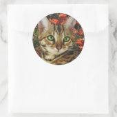 Bengaalse kaarten en stickers (Tas)