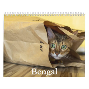 bengaalse kalender