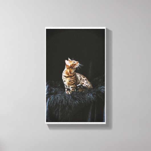 Bengaalse kat canvas afdruk (Voorkant)
