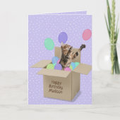 Bengaalse kat in doos op polka dot kaart (Voorkant)