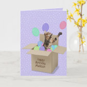 Bengaalse kat in doos op polka dot kaart (Gele Bloem)