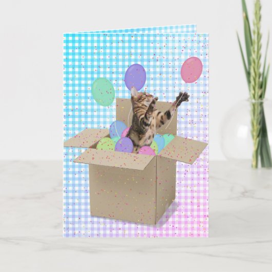 Bengaalse kat in doos verjaardag kaart (Voorkant)