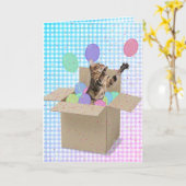 Bengaalse kat in doos verjaardag kaart (Gele Bloem)