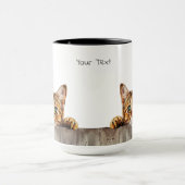 Bengaalse kat Mok (Midden)