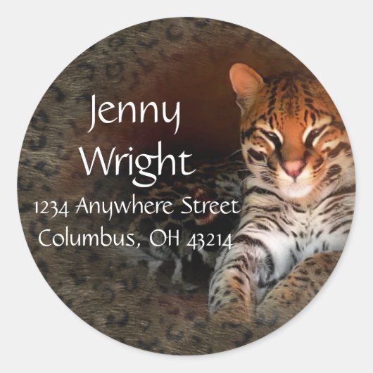 Bengaalse kat ronde retour adreslabels sticker (Voorkant)