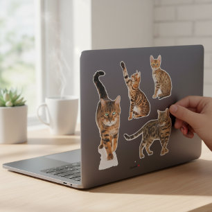 Bengaalse kat Stickers