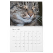 Bengaalse katten 2025 Kalender (Mar 2026)