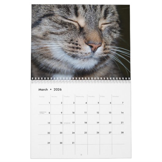 Bengaalse katten 2025 Kalender (Mar 2026)