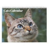 Bengaalse katten 2025 Kalender (Hoes)